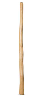 Natural Finish Didgeridoo (TW547)